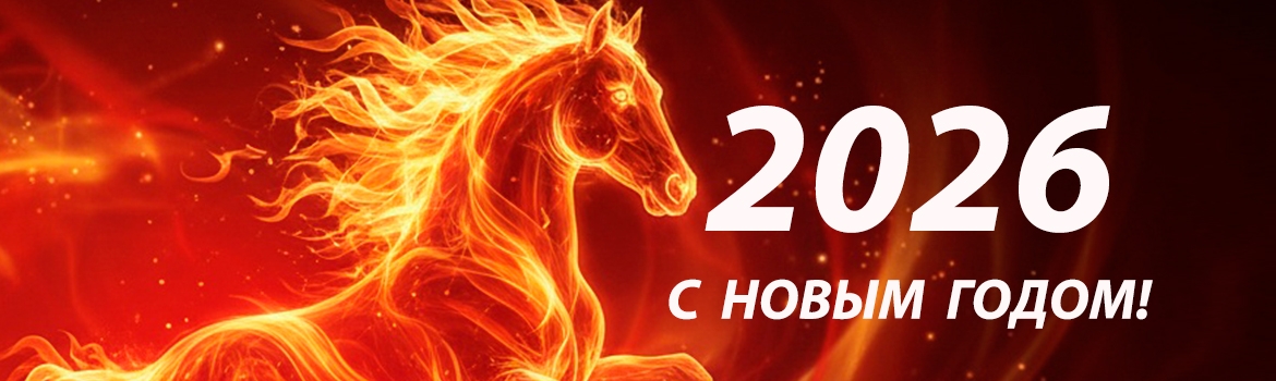 С НОВЫМ 2006 ГОДОМ!